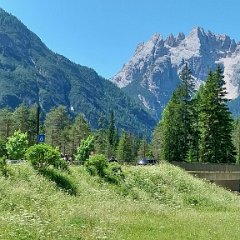 Valle della Rienza 29 giugno
